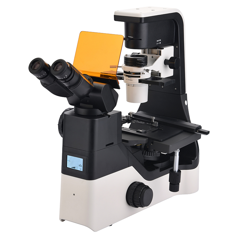 LED Fluorescent Inverted Biological Microscope